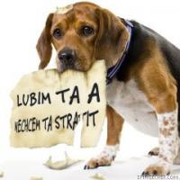 small_lubim%20ta.jpg